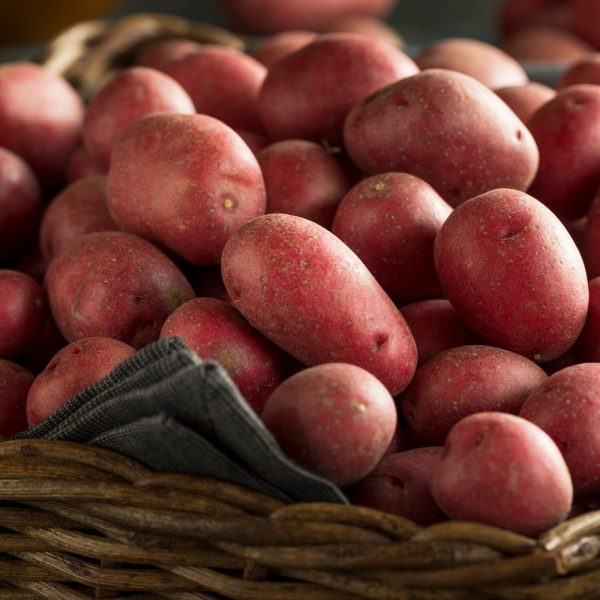 Patate Rosse