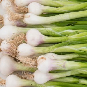 Cipollotto fresco bianco