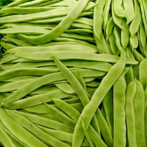 Fagiolini corallo 500gr.