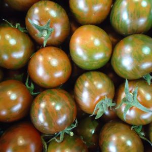 Pomodoro tigrato